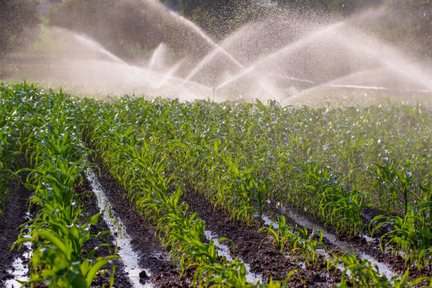 Agriculture pressure tubes
